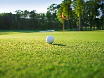 pelota_golf_campo